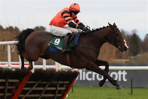 newbury horse results